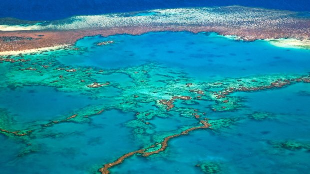 Australian small businesses serving the Great Barrier Reef could do with some of the tourism money currently going overseas.
