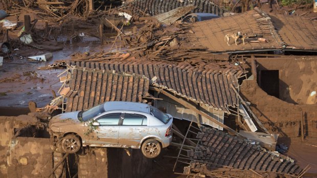 The disaster at BHP's Samarco mine could support the iron ore price for a while, Citi says.