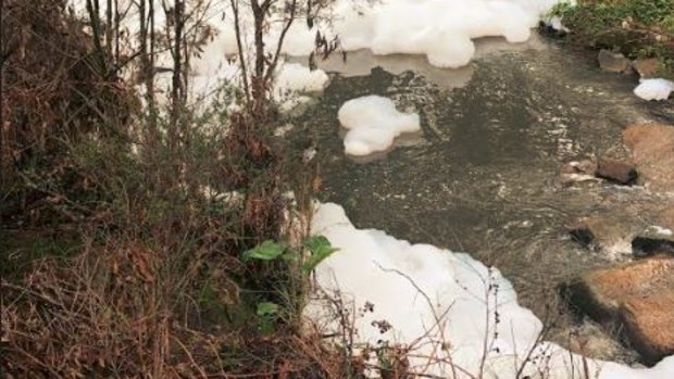 A reader took this photo of Dandenoon Creek at Waterford Valley Golf course in Rowville.