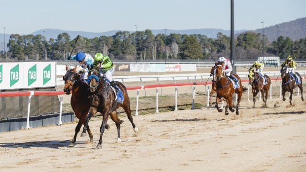 Romance Can Costa, green, reels in hot favourite First Courrier in race two in Canberra on Friday.  