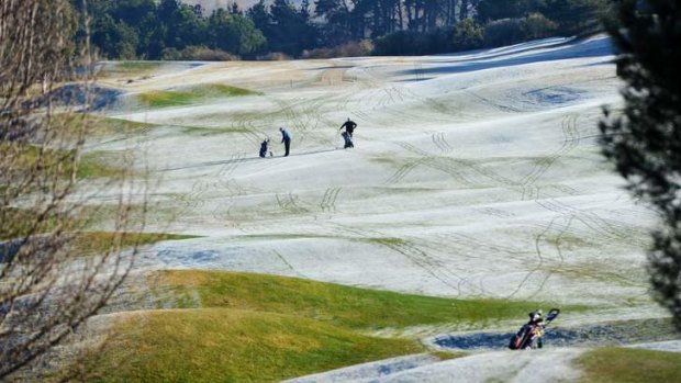 Early morning golfers make tracks through the frost at Royal Canberra, Yarralumla