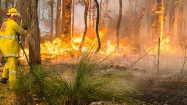 The top hot spots for bushfires have been revealed.