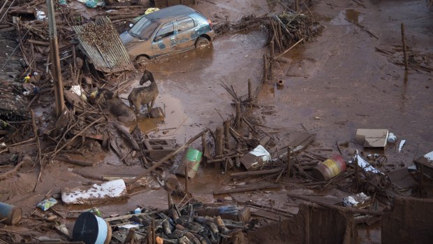 The dam collapse killed 19 people and is considered to be Brazil's worst environmental disaster.