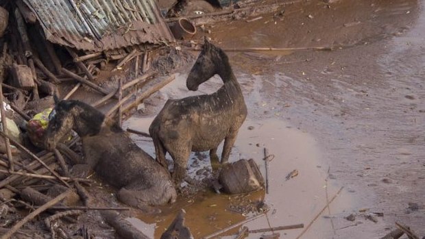 The dam collapse killed 19 people and is considered to be Brazil's worst environmental disaster.