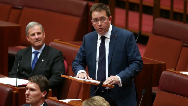 Senator James McGrath delivers his first speech. Photo: Alex Ellinghausen