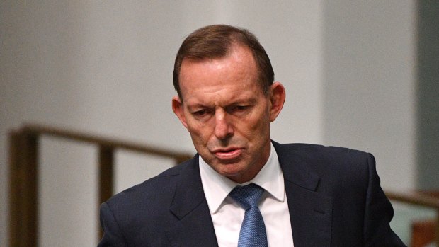 Former prime minister Tony Abbott in June.