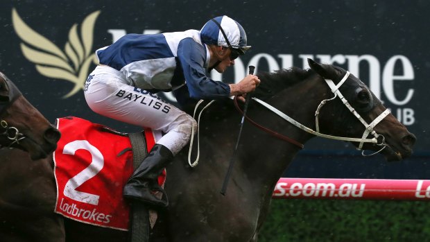 Oaks watch: Savacool is heading to Adelaide for the Oaks.