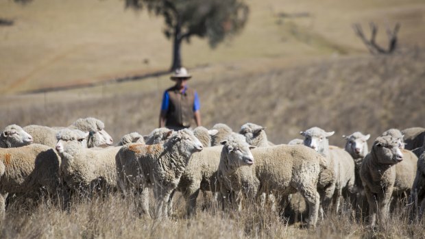 George Hamilton sells his lamb to consumers through his business Farmer George.