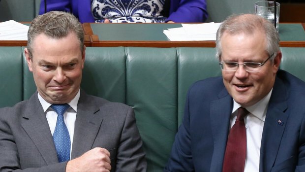 Innovation Minister Christopher Pyne and Treasurer Scott Morrison during question time on Wednesday.