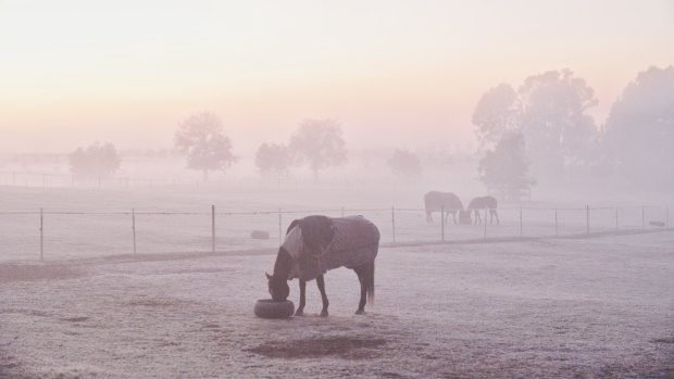 It was a foggy and frosty morning at Richmond in Sydney.