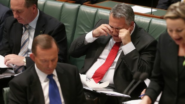Prime Minister Tony Abbott and Treasurer Joe Hockey during question time on Wednesday.