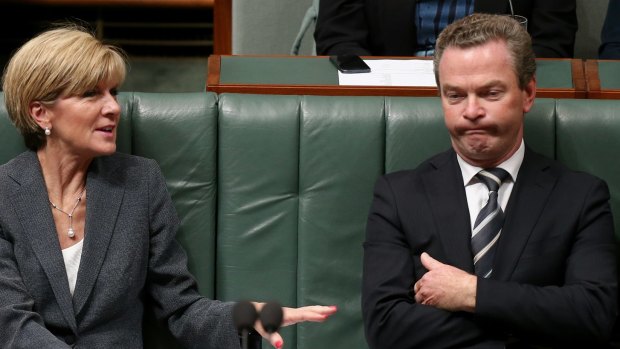 Foreign Affairs Minister Julie Bishop and Leader of the House Christopher Pyne in question time on Thursday.
