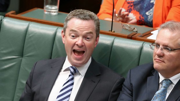Leader of the House Christopher Pyne during question time  on Tuesday.