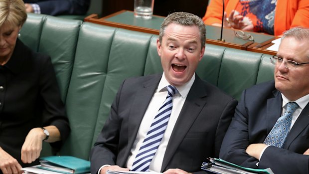 Leader of the House Christopher Pyne during question time  on Tuesday.