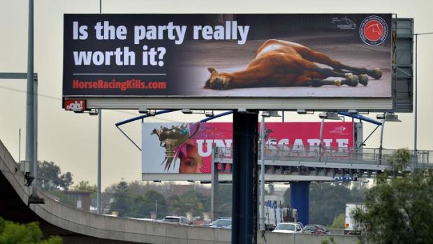 Animal rights billboard on the Bolte Bridge.