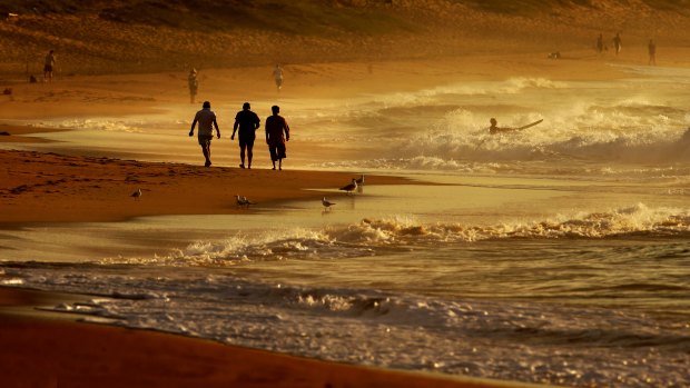 Warm waters may be welcomed by beachgoers but the impacts beneath the waves are not so good.