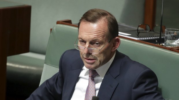 Former prime minister Tony Abbott has again questioned the Coalition's energy policy.