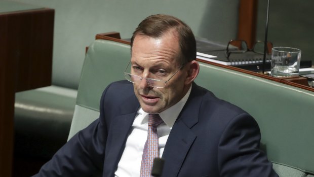 Former prime minister Tony Abbott has again questioned the Coalition's energy policy.