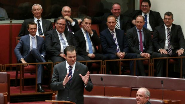 Senator Matthew Canavan delivers his first speech. Photo: Alex Ellinghausen