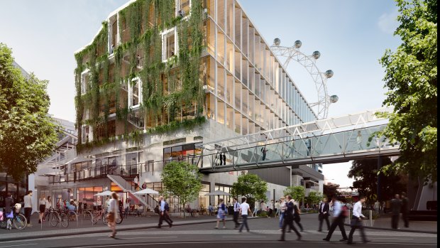 AsheMorgan's new timber office building planned for Docklands.