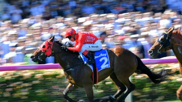 Simply the best: Redzel runs away with the Darley Classic at Flemington during the spring.