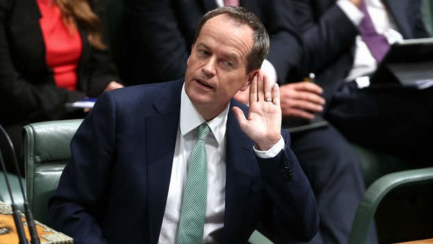 Opposition Leader Bill Shorten during QT. Photo: Alex Ellinghausen