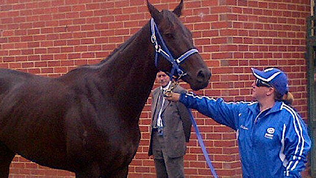 Black Caviar is paraded in front of the media at Caulfield.