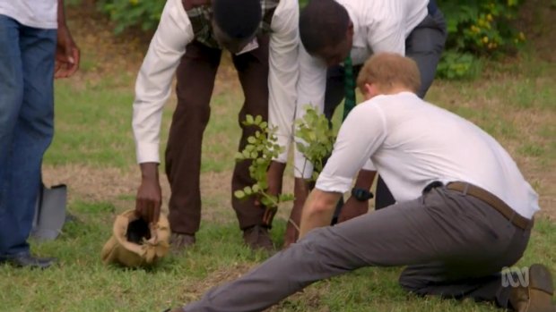 Prince Harry has long championed and launched initiatives for the Queen’s Commonwealth Canopy.