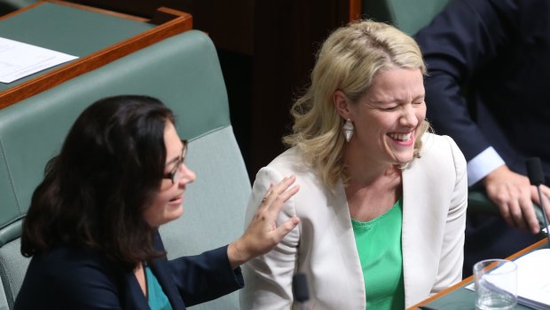 Labor MPs Terri Butler and Clare O'Neil in question time on Wednesday.