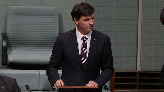 Liberal MP Angus Taylor delivered his maiden speech on Tuesday. Photo: Alex Ellinghausen