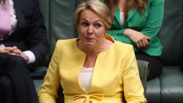 Acting Opposition Leader Tanya Plibersek. Photo: Andrew Meares