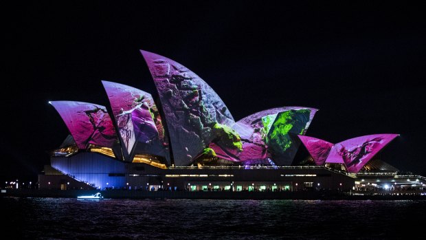 The Sydney Opera House sails are lit for the 10th anniversary of Vivid on Friday. 