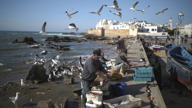 Fishermen prepare their goods for customers in the port city of Essaouira, Morocco. The country is facing an increase of Europe-bound migrant traffic.