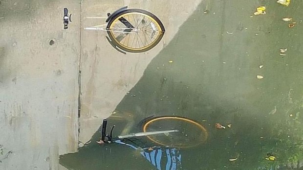 oBikes dumped in Singapore's Whampoa River.