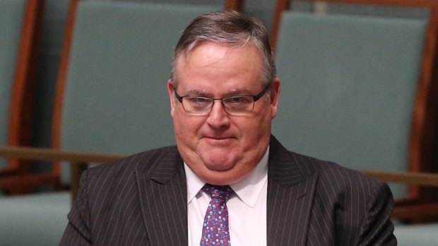 Liberal MP Ewen Jones celebrates his dorothy dixer question during question time on Tuesday.