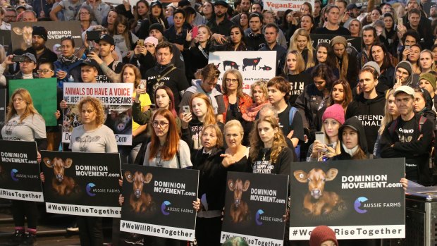 Animal rights activists rally in Melbourne CBD