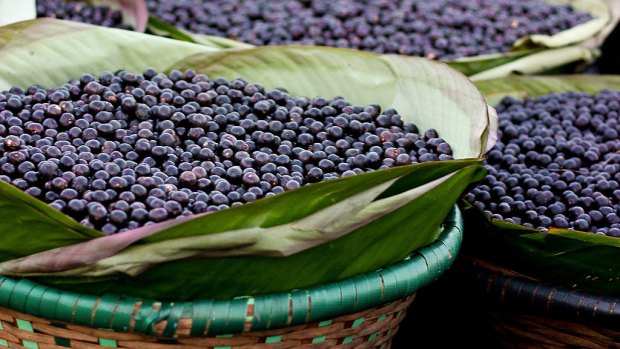Baskets of Acai berries in the Acai Market in Brazil.