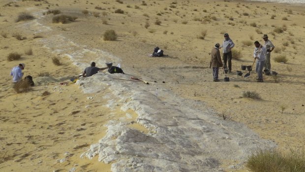 The excavations at the Al Wusta archaeological site in Saudi Arabia in 2016. The ancient lake bed (in white) is surrounded by sand dunes of the Nefud Desert.