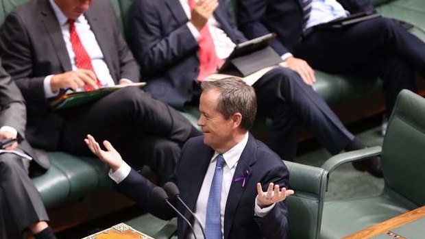 Opposition Leader Bill Shorten during question time. Photo: Andrew Meares