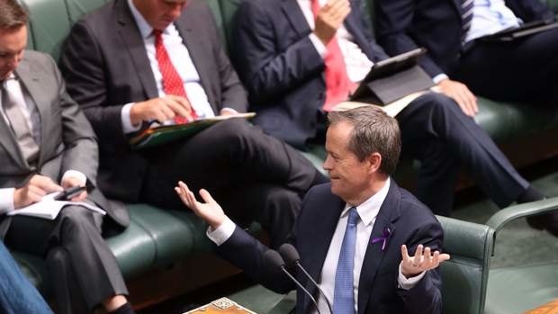 Opposition Leader Bill Shorten during question time. Photo: Andrew Meares