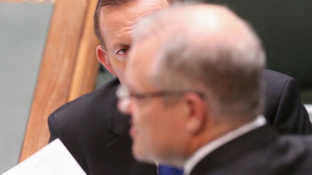 Prime Minister Tony Abbott and Social Services Minister Scott Morrison during question time on Wednesday.