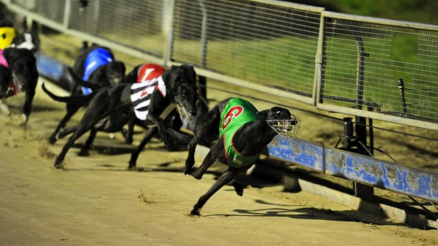 Greyhound racing in the ACT will be banned from April 30. 