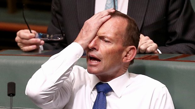Former prime minister Tony Abbott during a division in the House of Representatives earlier today.