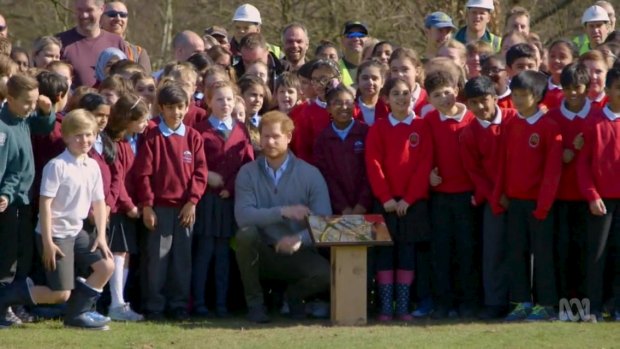 Prince Harry takes part in the Queen's Commonwealth Canopy project.