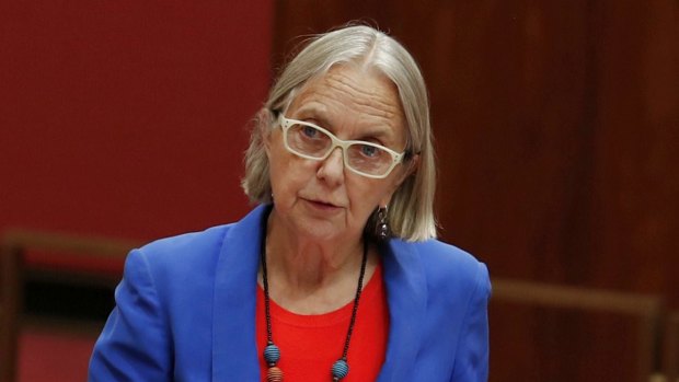 Greens senator Lee Rhiannon has slammed the proposal for exacerbating disunity in the party and has called for it to be withdrawn.