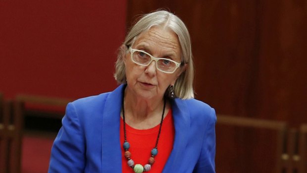 Greens senator Lee Rhiannon has slammed the proposal for exacerbating disunity in the party and has called for it to be withdrawn.