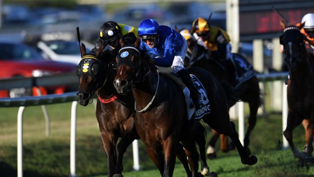 Farewell tour: Impending steams home to win the Stradbroke at Doomben last year