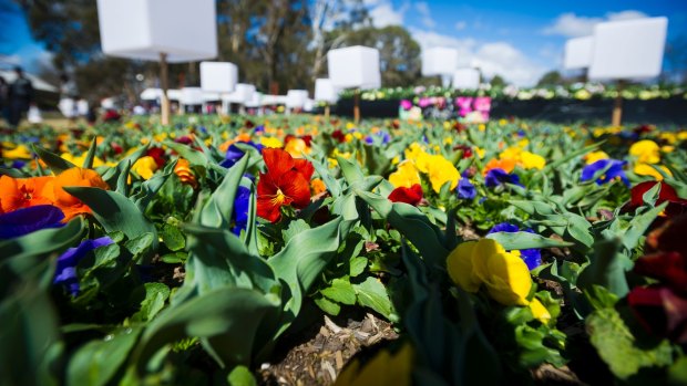 Floriade ran over budget by $1.2 million in 2017. 