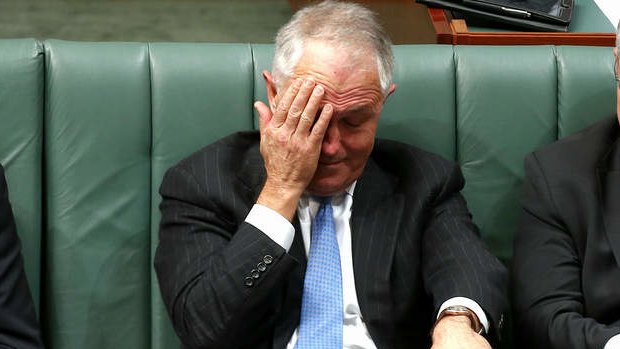 Communications Minister Malcolm Turnbull during QT. Photo: Alex Ellinghausen