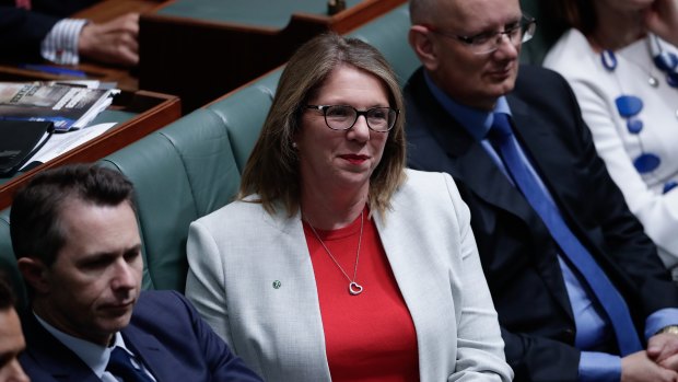 Shadow health minister Catherine King: "It'll be a personal priority for me." 